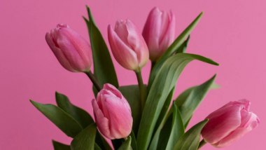 Женская благотворительность вне букетов и поздравлений